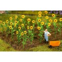 Tournesols, 16 pièces