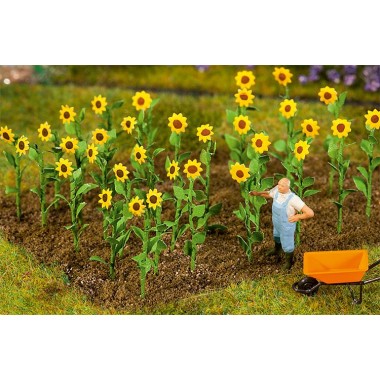 Tournesols, 16 pièces Tournesols, 16 pièces