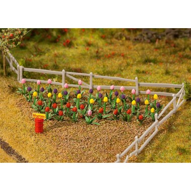 Tulipes, 36 pièces Tulipes, 36 pièces