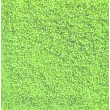 Flocage Vert Clair, 20 g. Flocage Vert Clair, 20 g.