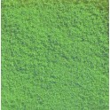 Flocage Vert Moyen, 20 g. 