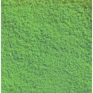 Flocage Vert Moyen, 20 g. Flocage Vert Moyen, 20 g.