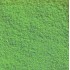 Flocage Vert Moyen, 20 g. 