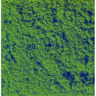 Flocage Vert Foncé, 20 g. Flocage Vert Foncé, 20 g.