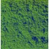 Flocage Vert Foncé, 20 g. 