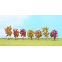 Arbres d'Automne