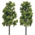 Platanes