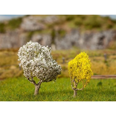 Prunellier 50 mm et Forsythia 40 mm Prunellier 50 mm et Forsythia 40 mm