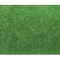 Tapis d'herbe vert clair 100 x 75 cm
