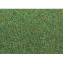 Tapis d'herbe vert foncé 100 x 75 cm