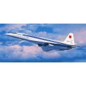 Maquette Supersonic Passenger Aircraft Tupolev Tu-144D