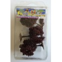 Prunus 60 mm