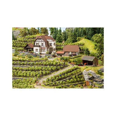Domaine viticole Hauser-Bühler