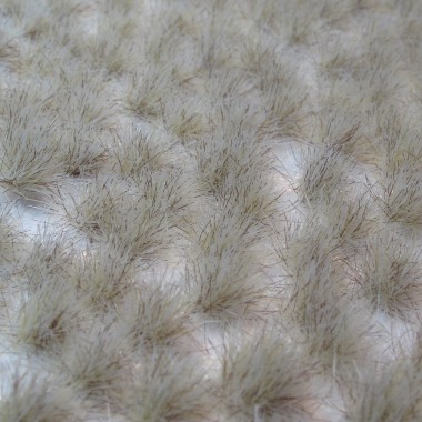 Touffes d'herbe Hiver Touffes d'herbe Hiver