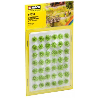 Touffes d'herbe Plantes Agricoles Touffes d'herbe Plantes Agricoles