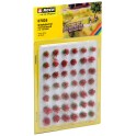 Touffes d'herbe Fleuries rouge