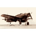 Maquette AD-4W Skyraider