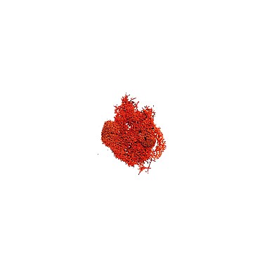 BOLSA MUSGO (rojo/red) sachet de 12 gr. 