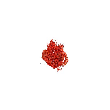BOLSA MUSGO (rojo/red) sachet de 12 gr. BOLSA MUSGO (rojo/red) sachet de 12 gr.