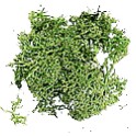BOLSA MUSGO (verde/verd/green) sachet de 12 gr. 