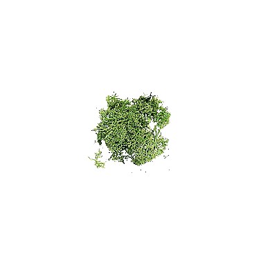 BOLSA MUSGO (verde/verd/green) sachet de 12 gr. BOLSA MUSGO (verde/verd/green) sachet de 12 gr.