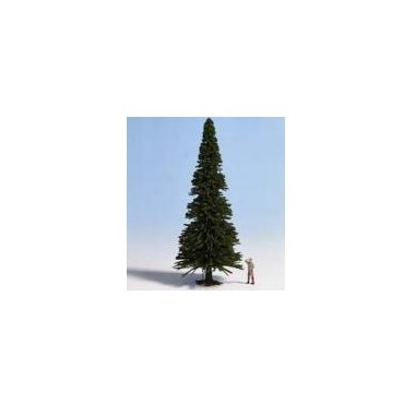 Sapin 13 cm