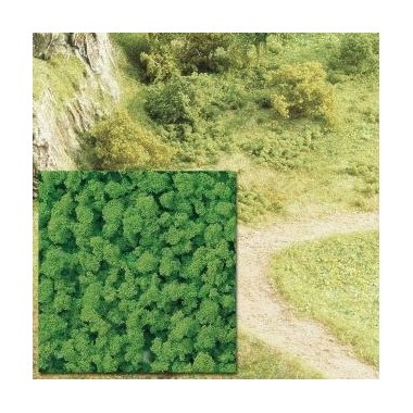 Mousse buissons vert cair Mousse buissons vert cair