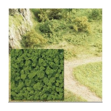 Mousse buisson couleur vert de Mai Mousse buisson couleur vert de Mai