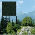 Feuillage vert foncé