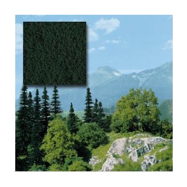 Feuillage vert foncé Feuillage vert foncé