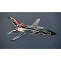 Maquette Tornado IDS 60 Ans RSV