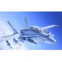 Maquette F/A-18C/D Wild Weasel  , Epoque moderne 