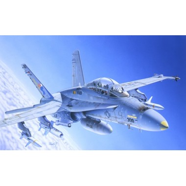 Maquette F/A-18C/D Wild Weasel  , Epoque moderne 