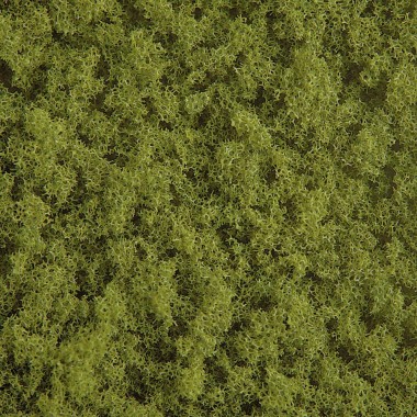 Feuillage vert printemps Feuillage vert printemps