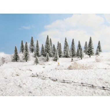 10 Sapins enneigés