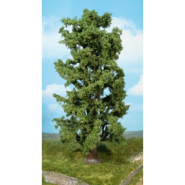 1 érable, 30 cm 1 érable, 30 cm