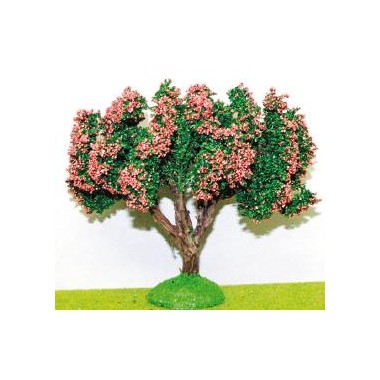 Oranger 11 cm