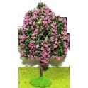 Arbre fleuri Acacia boule rose 10 cm