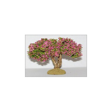 Arbre fleuri Laurier rose 14 cm Arbre fleuri Laurier rose 14 cm