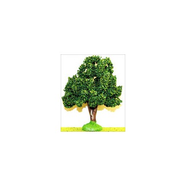 Platane - 18 cm Platane - 18 cm