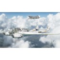 Maquettes Focke Wulf Fw189A-1