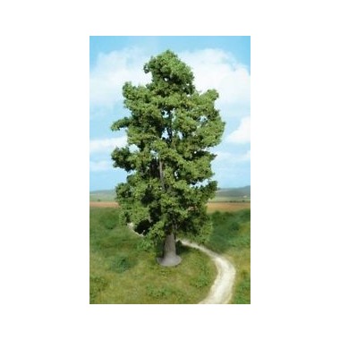 1 érable, 30 cm 1 érable, 30 cm
