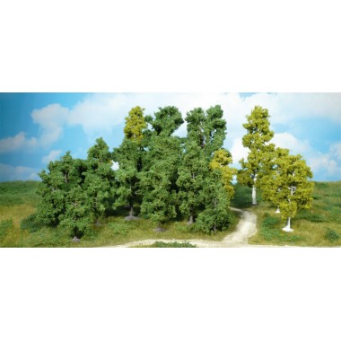 14 feuillus, 9-18 cm 14 feuillus, 9-18 cm