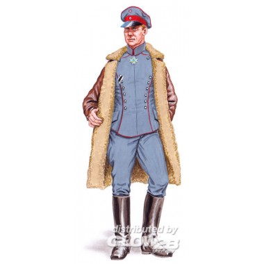 Pilote WWI Albatros Pilote WWI Albatros