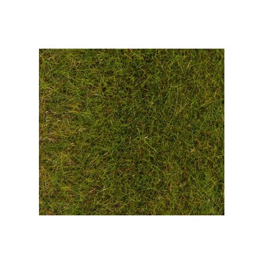 Flocage prairie prenium, 30 grs - 6 mm Flocage prairie prenium, 30 grs - 6 mm