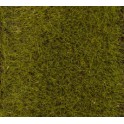 Flocage prairie prenium, 30 grs - 6 mm