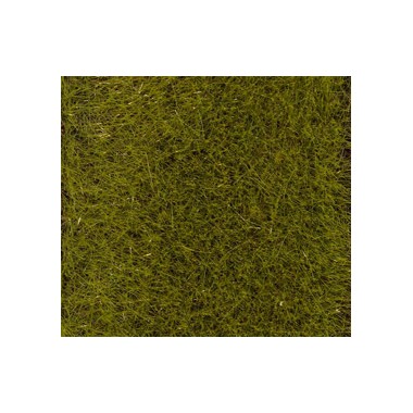 Flocage prairie prenium, 30 grs - 6 mm Flocage prairie prenium, 30 grs - 6 mm