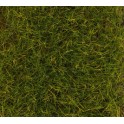 Flocage prairie d'automne, 30 grs - 12 mm