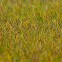 Flocages herbe de pré vert clair premium - 6mm