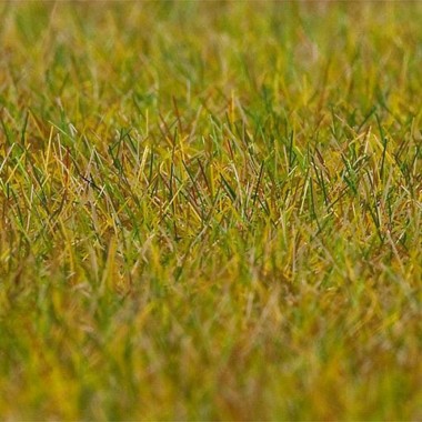 Flocages herbe de pré vert clair premium - 6mm Flocages herbe de pré vert clair premium - 6mm